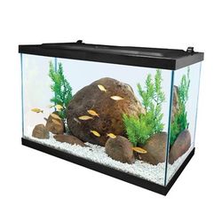 20-Gallon LED Glass Aquarium Starter Kit with Filter, Heater & Plants