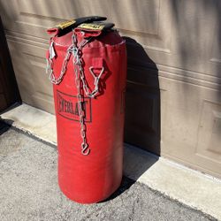 Everlast Punching Bag With Bag Gloves 