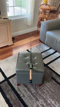 5 ft. 6 inch Abu Garcia rod,and PENN # 77 bait casting reel
