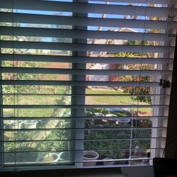Blinds, White, 34" Width x 43’’ Length