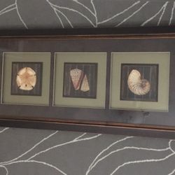 Beach Themed Framed Wall Art