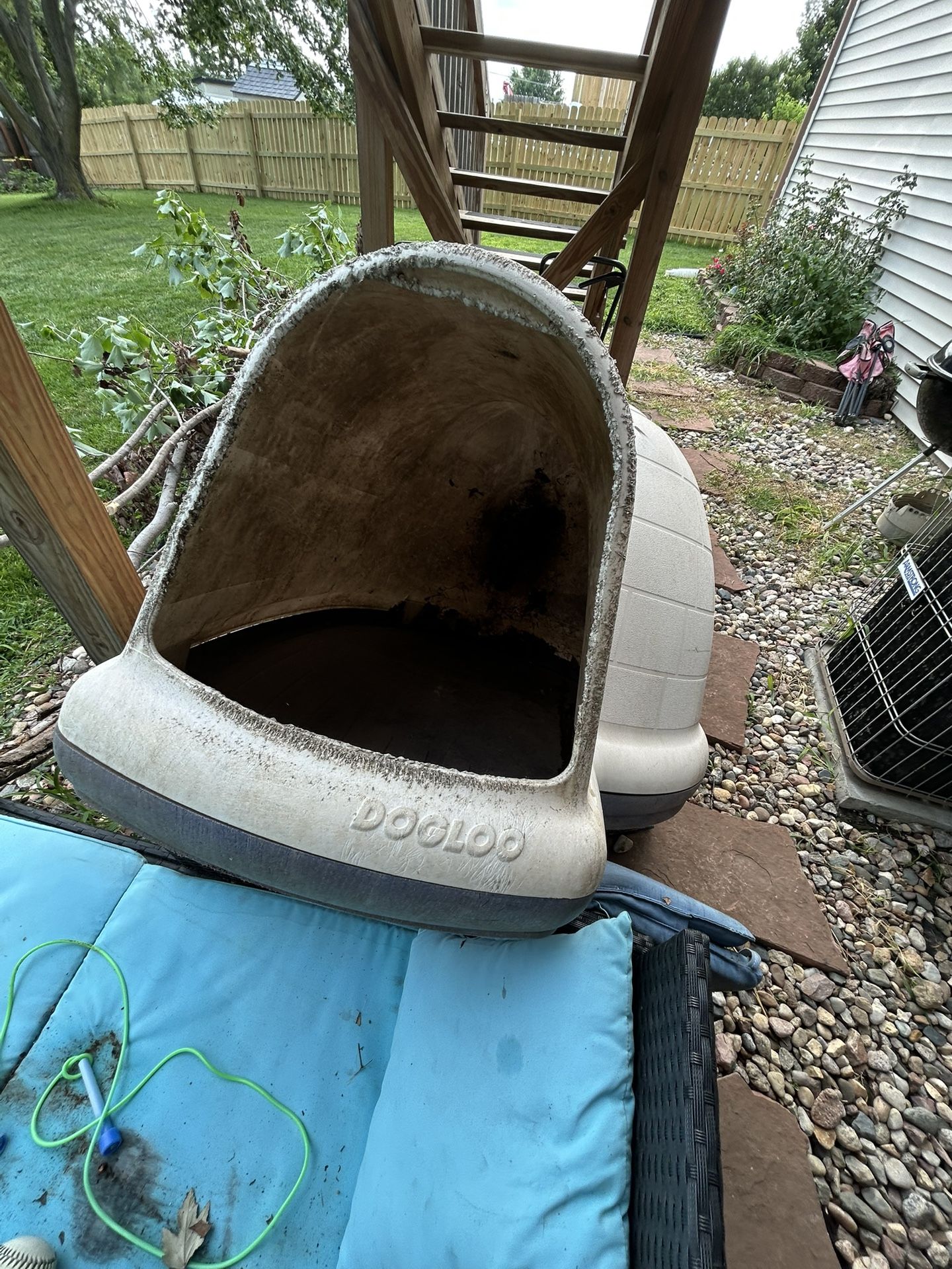 Outside Dog House
