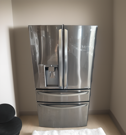 LG 4-Door Stainless Steel Refrigerator Fridge