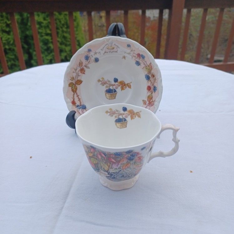 Royal Doulton tea cup & saucer Autumn Bone China England Jill Barklem 1983