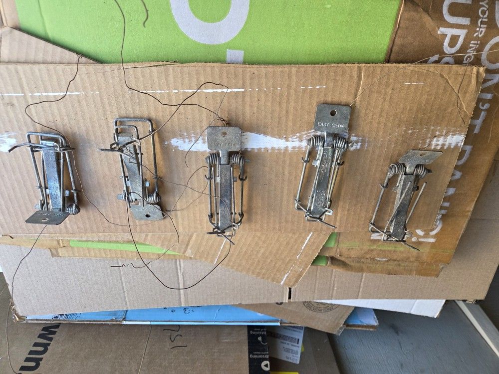 Free X5 Victor Gopher Traps