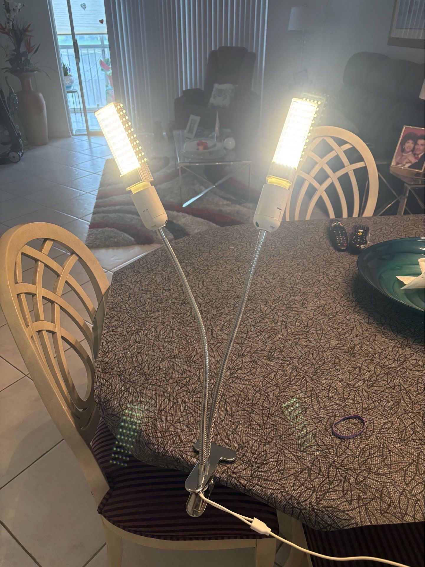 USB double clip on lamps/computer