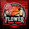 Flowerhorn Cichlids 