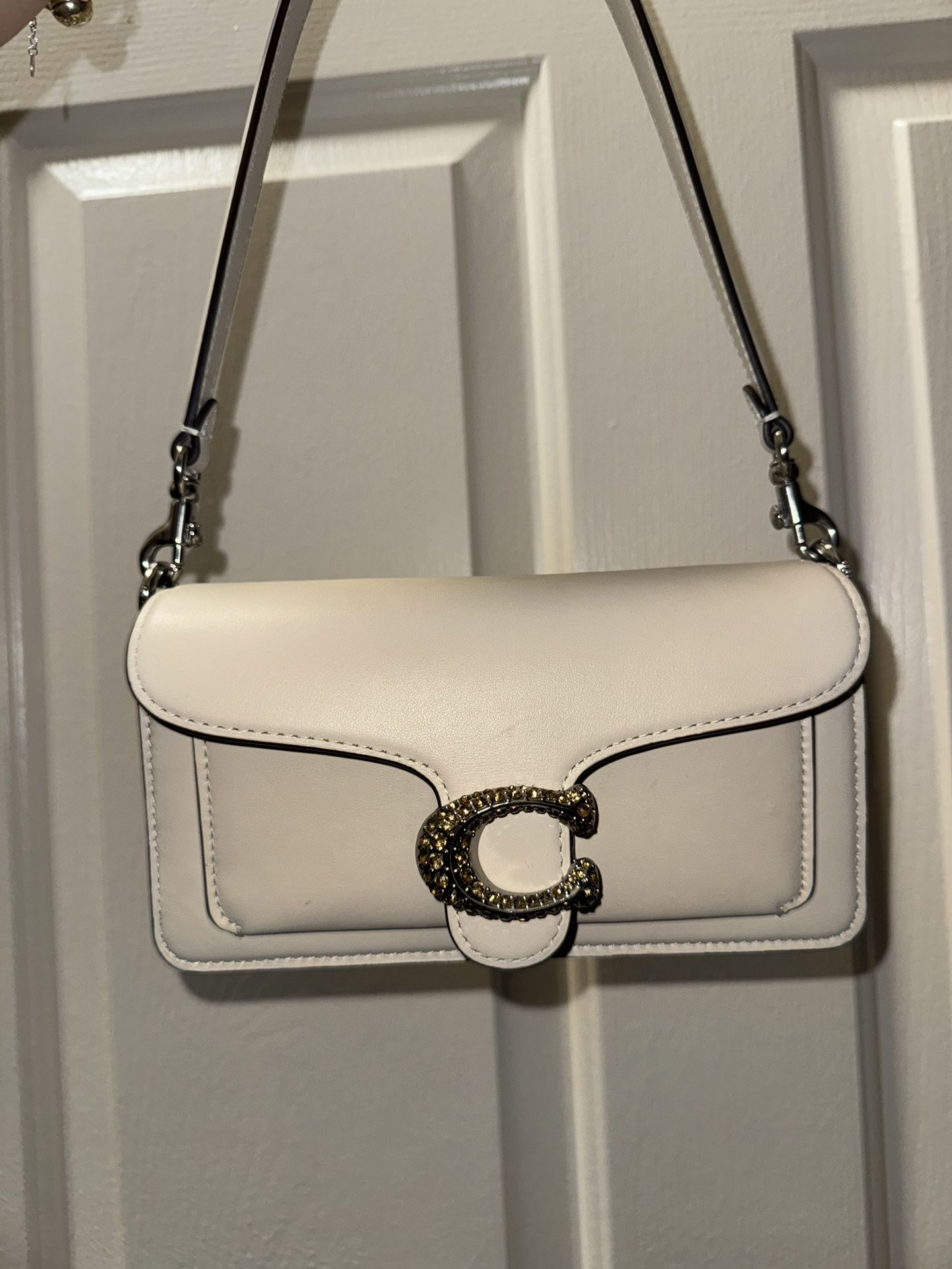 Tabby Coach Bag