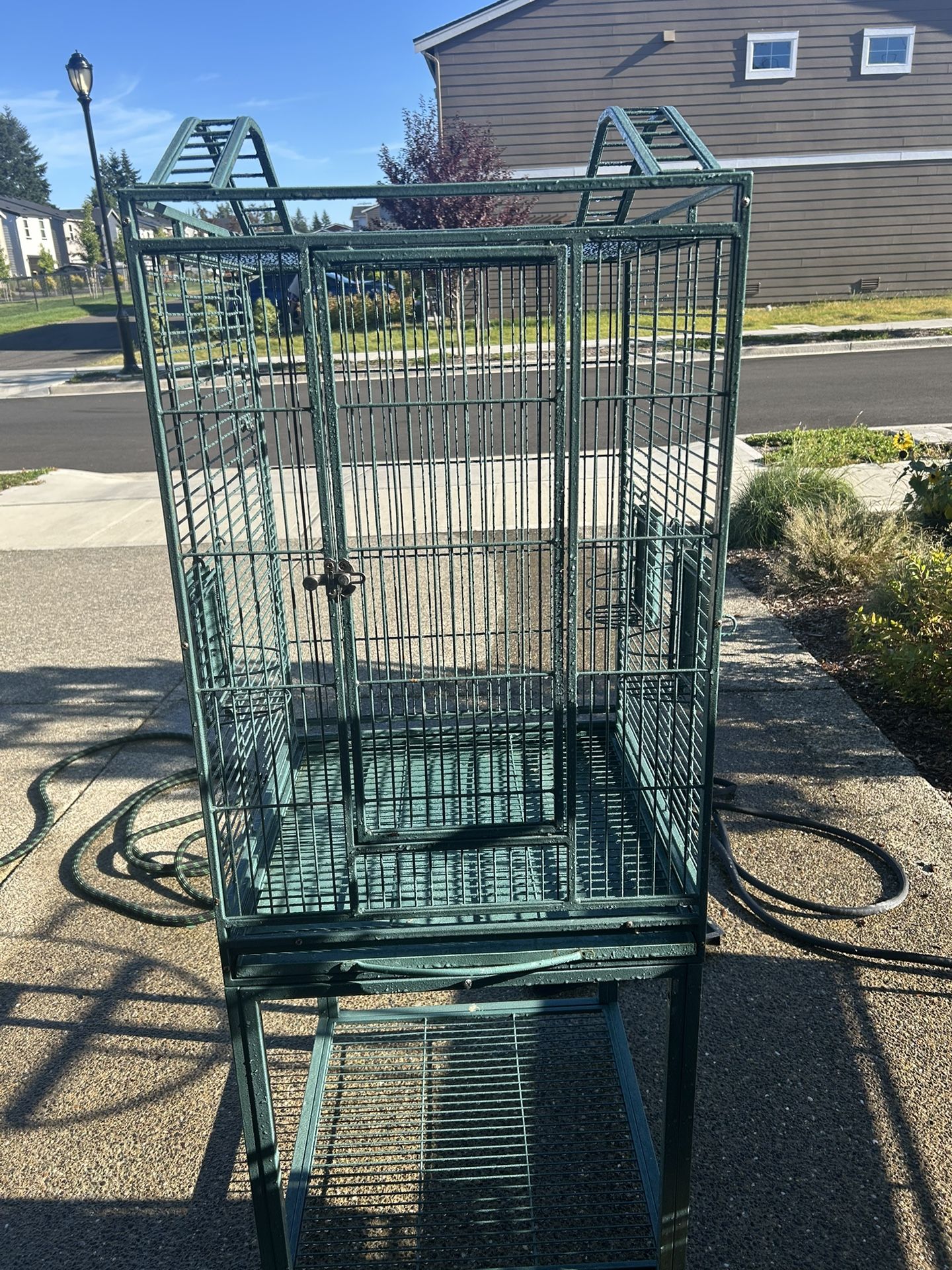 Parrot Cage