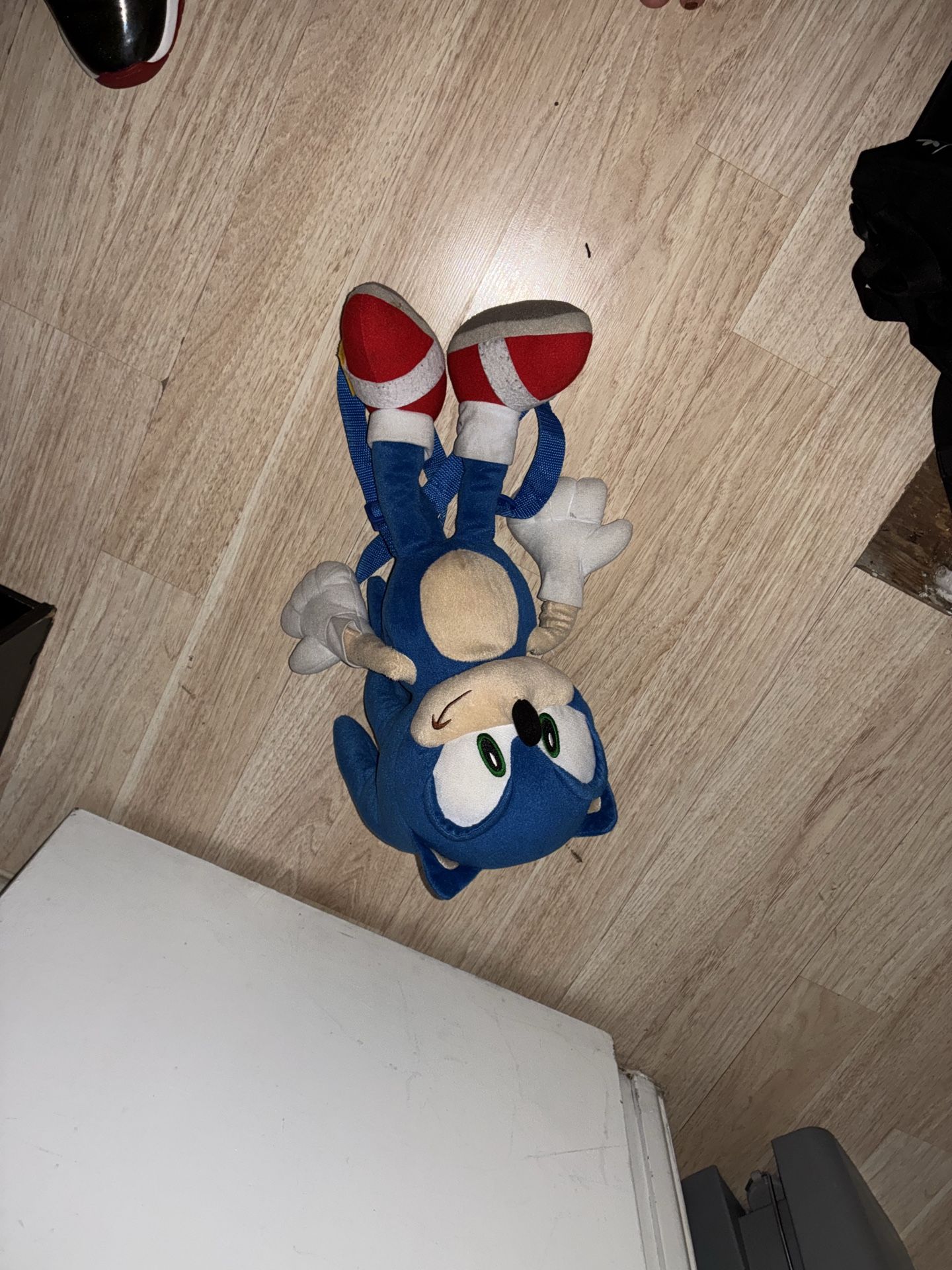 Sonic backpack