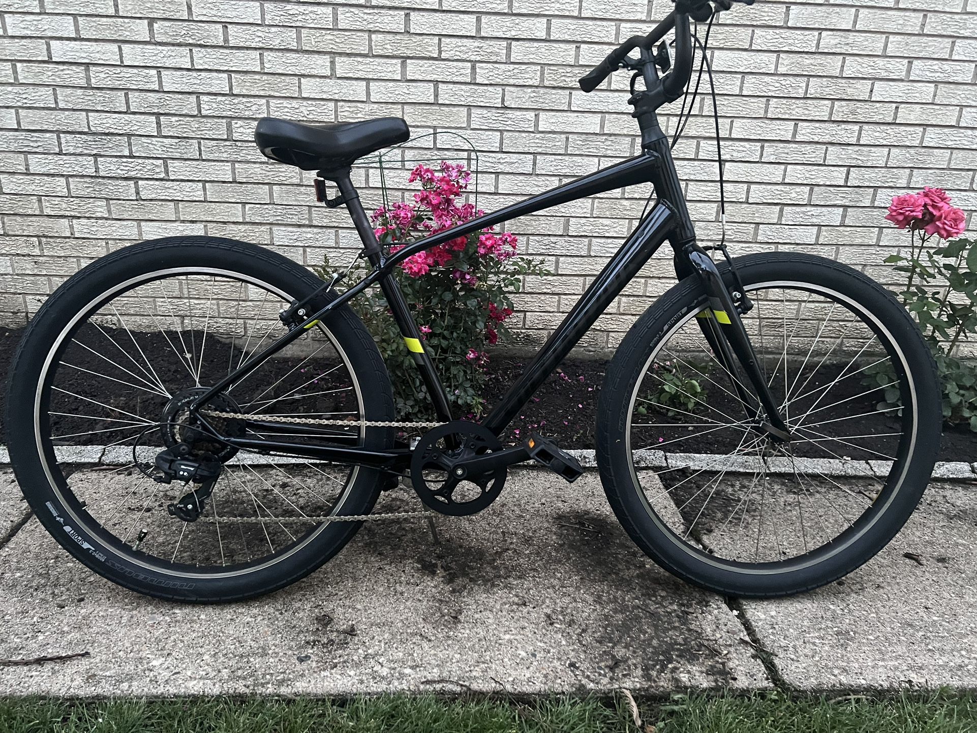 Specialized Roll 