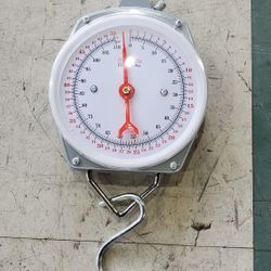 Spring Weighing Scale 