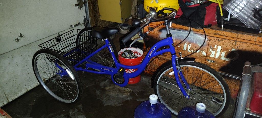 Schwinn Meridian Adult Trike