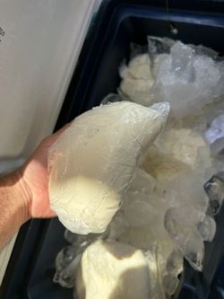 Quesos Frescos De Sinaloa 