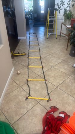 Training ladder