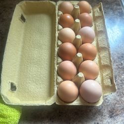 ORGANIC EGGS FOR SALE 