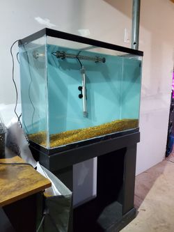 35 Gallon Tank