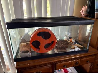 Hamster, Reptile or Small Pet Glass Cage