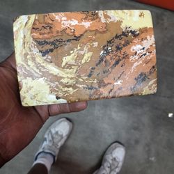 Women's Case