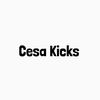 cesakicks