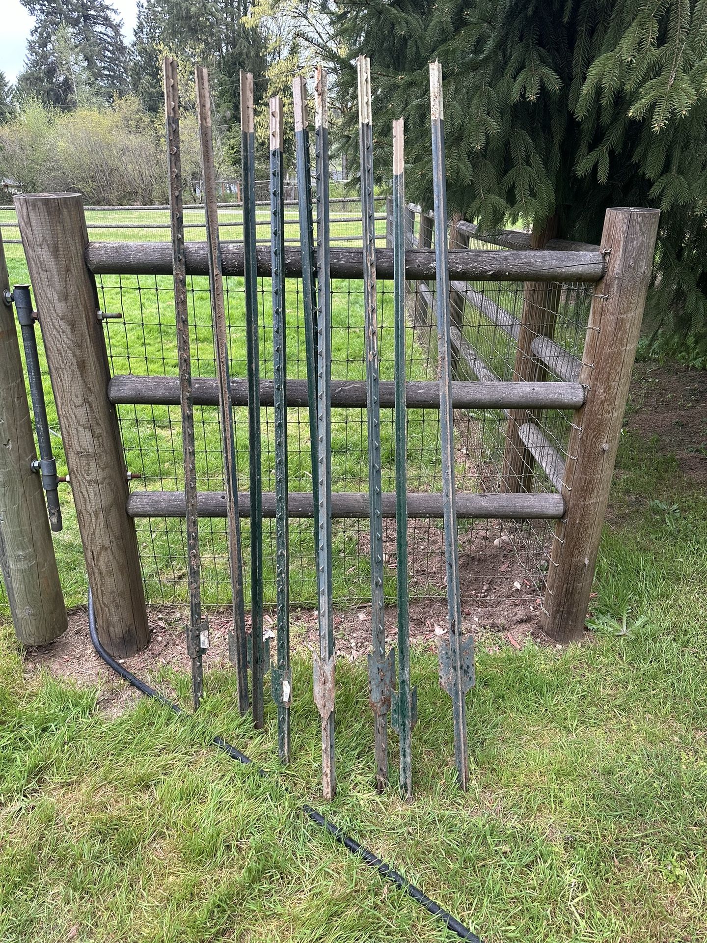 Metal T Posts 