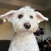 Brian