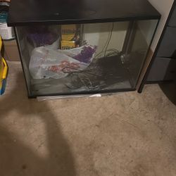 37 Gallon Fish Tank