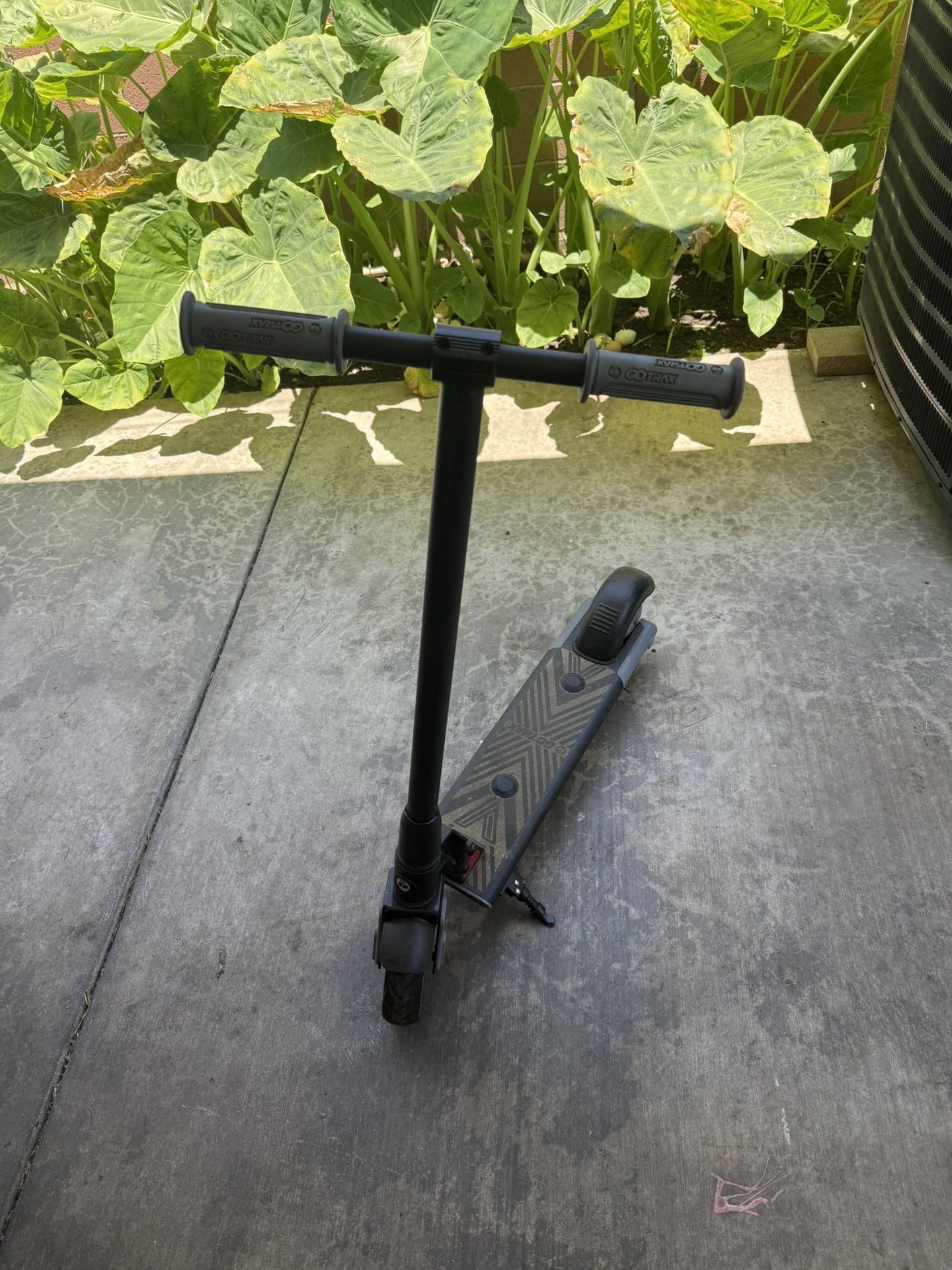 Gotrax Electric Scooter