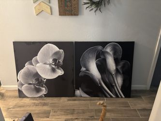 Black And White Floral Prints