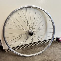 26” Shimano Free Hub Wheel