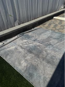 Washable  rug