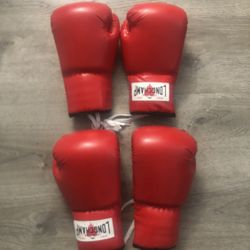 Long Champ Paris Boxing Gloves 2pairs