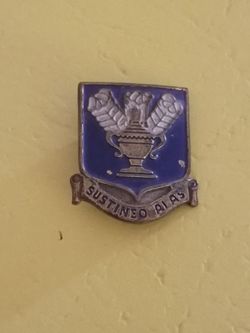 USAF Pin