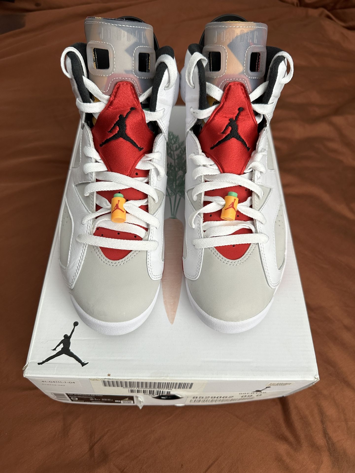 Air Jordan 6 Retro Hare Size 9