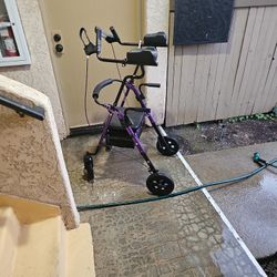 Standing Walker 4 SALE!