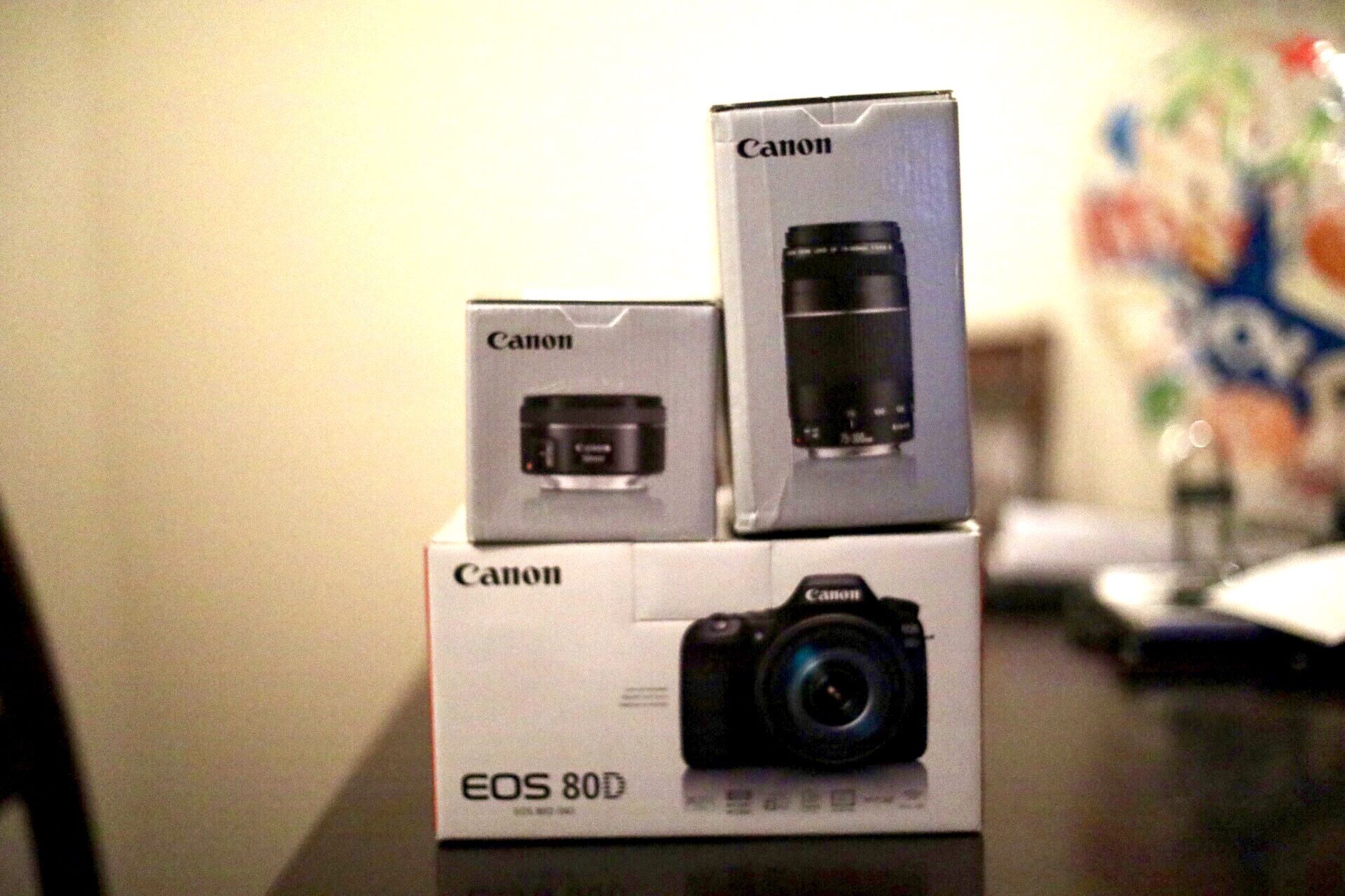 Canon 80D with lenses