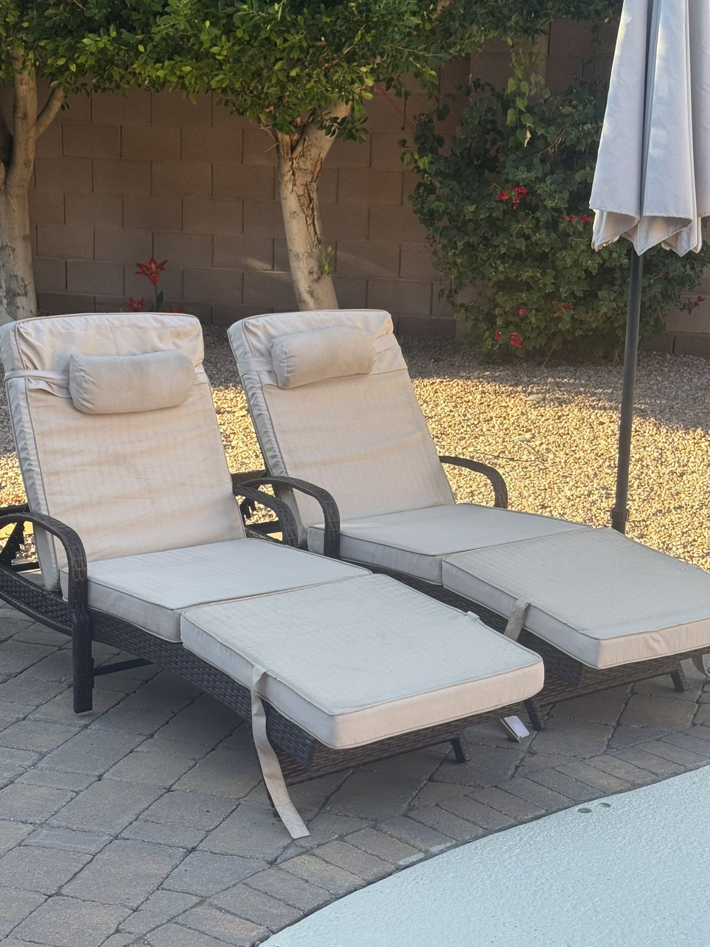 Patio Furniture - Lounge Chairs
