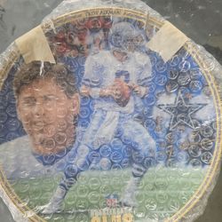 NFL collectable plate