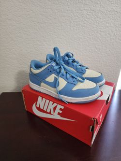 Nike Dunk Low 1y