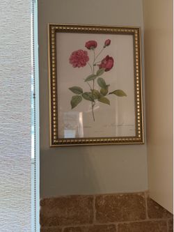 Floral photos