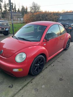 03 beetle