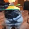 Pickle
