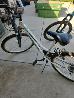 Roadmaster mountain bike 26