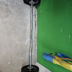 Ez Curl Bar With Weights 