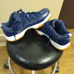 Jordan 11 Midnight Blue retro