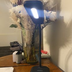 2 Sunbeam Flexible LED Desk light