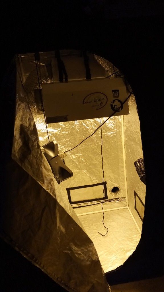 Grow Tent Complete Setup