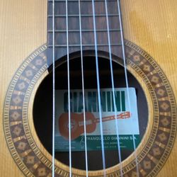 Classical Giannini Guitar 