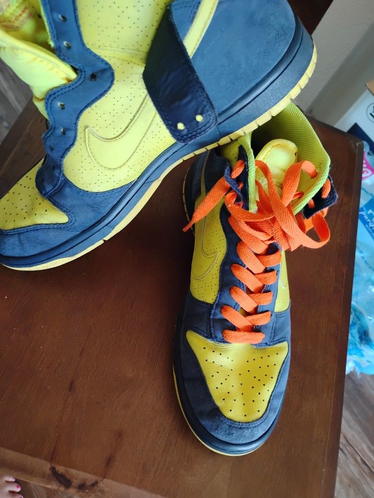 2009 Nike Dunks