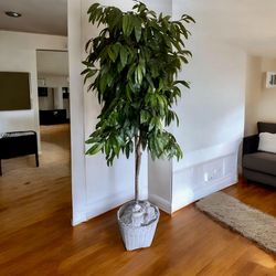 Pending *Beautiful Unique Tropical 6.5 Ft. Artificial Plants/Tree